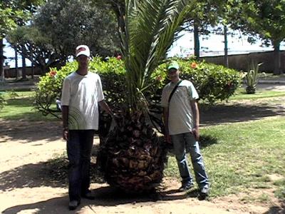Moi et mon amis